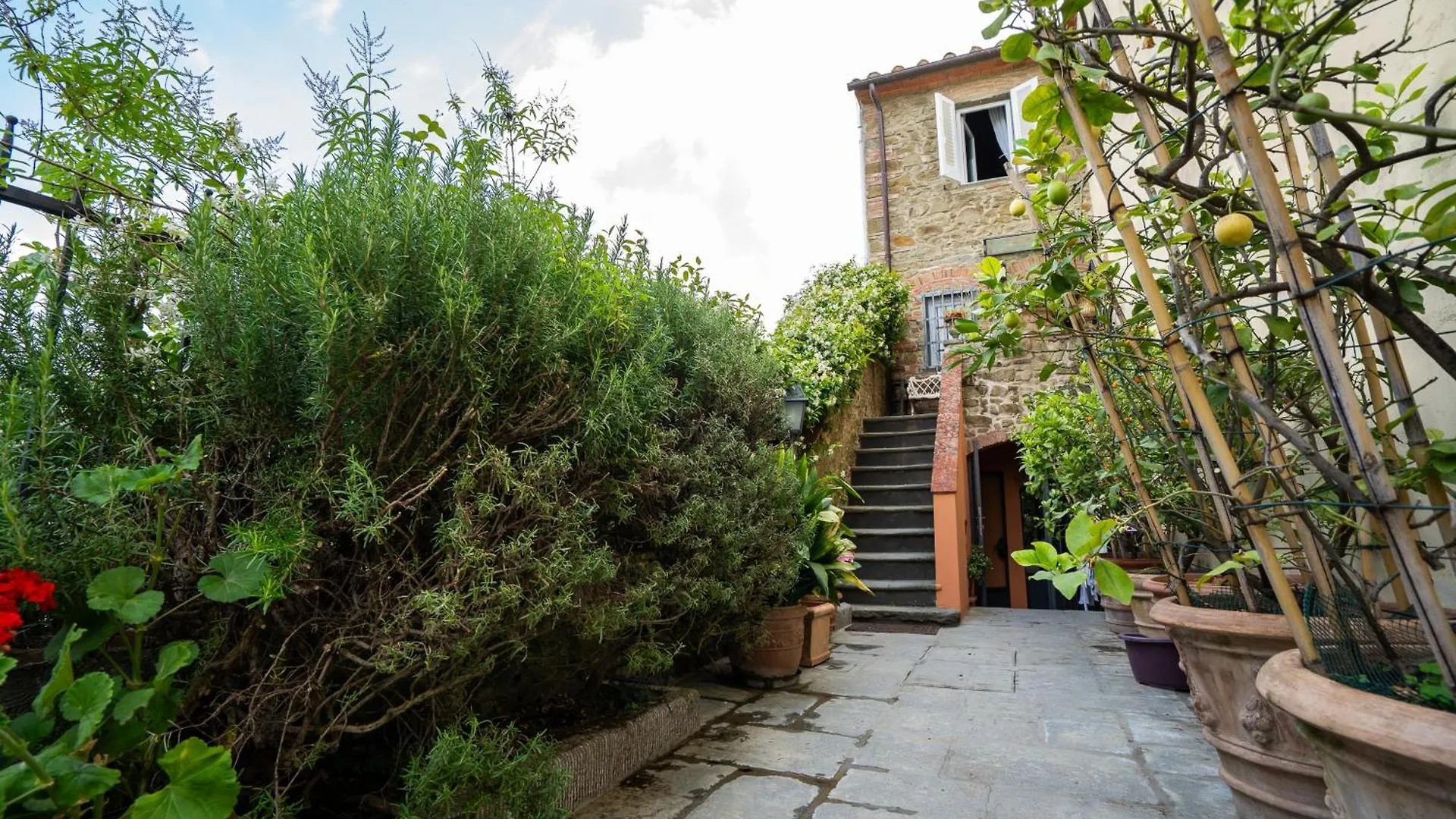 Casa Marcello Villa Vinci