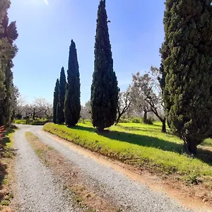 Il Palagio Vinci